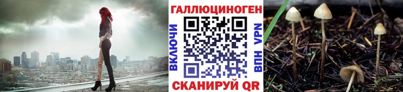 Галлюциногенные грибы Cubensis  darknet какой сайт  Шатура  закладки 