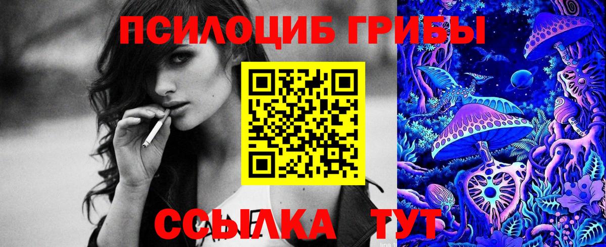 Псилоцибиновые грибы MAGIC MUSHROOMS  Вход с VPN  Шатура  даркнет сайт  Галлюциногенные грибы Psilocybe 
